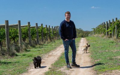 Winemaker Q and A with Ben Mullen from Mulline