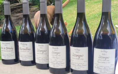 Daniel Bouland 2021 – Serious and joyous Beaujolais