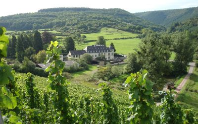 Egon Muller Pre-Release Offer – 2018 Rieslings