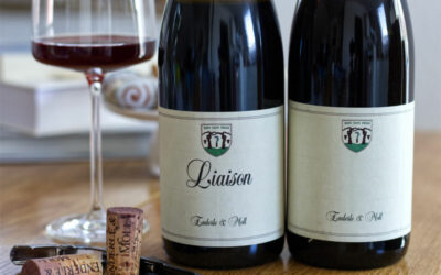 Enderle and Moll – Nothing quite like it