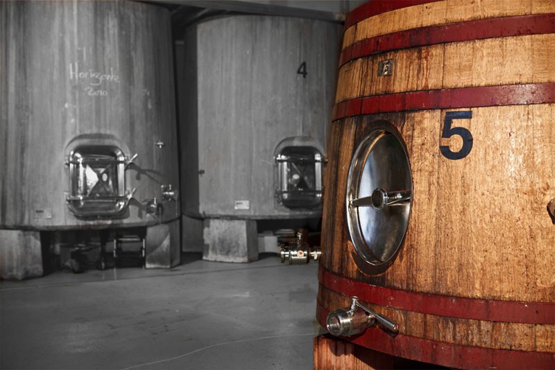Exopto Cellar