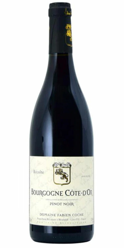 Fabien Coche Bourgogne Rouge 2021