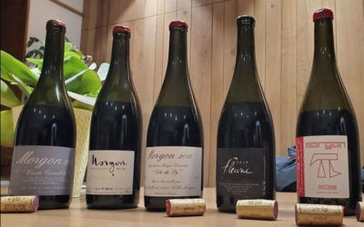 Jean Foillard 2018 – one of France’s true masters
