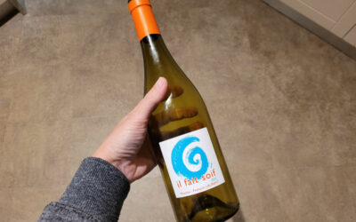 Maxime Francois Laurent Il Fait Soif 2020 – Thirsty out there