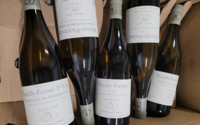 Guffens-Heynen 2020 – Hammer and Chisel