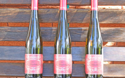 Julian Haart – rising star of the Mosel