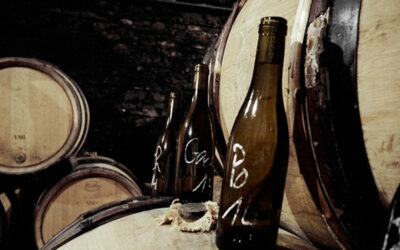 Antoine Jobard – Wines of Sheer Presence