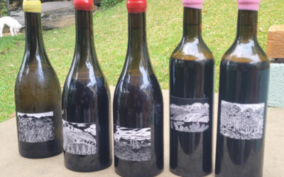 Joshua Cooper 2021 Release – Taste a revelation