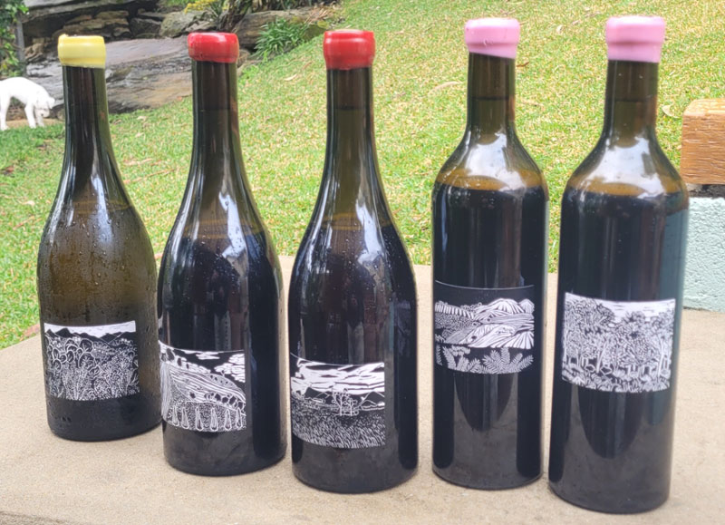 Joshua Cooper 2021 Release Taste a revelation Waters Wine Company