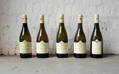 The Golden Wines of the Maconnais
