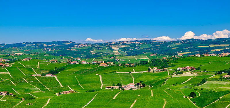Barolo