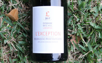 Introducing Passetoutgrain – Burgundy’s vanishing terroir