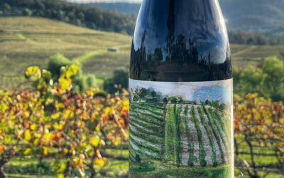 Introducing Pokolbin Vintners – Classic Hunter Burgundy