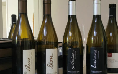 Pabiot Loire – Sauvignon not as you know it