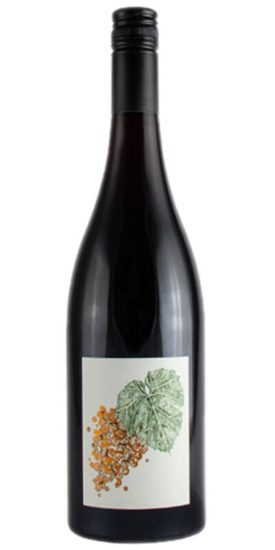 Reed Love Gamay 2025