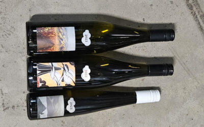 Blast Off – Sierra Reed’s 2023 Rieslings