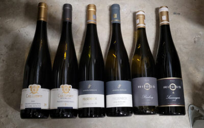 German Rieslings of 2020 – Castles and Gardens