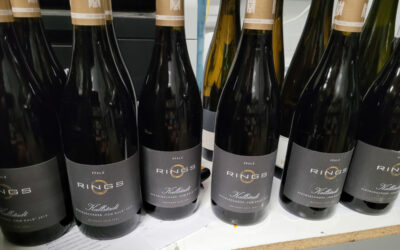 Weingut Rings – You’ve discovered a star