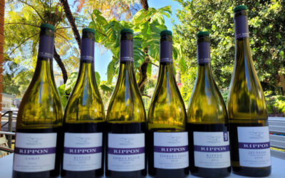 Rippon 2018 – Stunning Pinot Noir et al