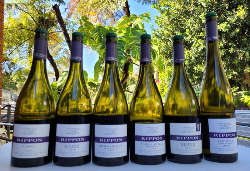Rippon Line Up