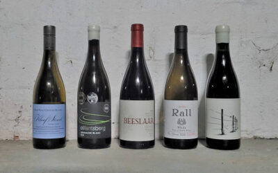 New South African Wine Arrivals
