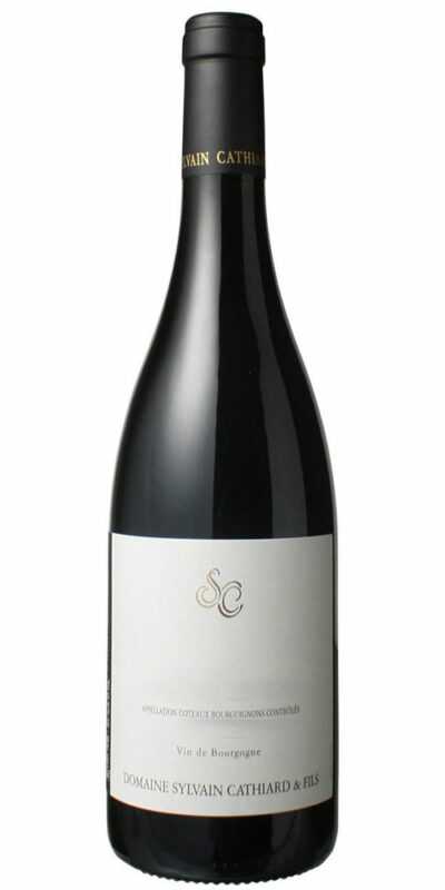 Sylvain Cathiard Hautes Cotes de Nuits Aux Charmes 2019