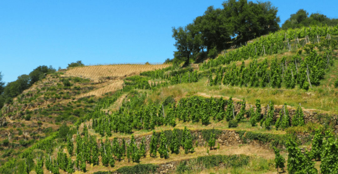 Understanding Soave