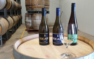 Tasting the whites at Rikard
