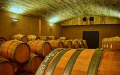 Thibaud Boudignon – defining Savennieres