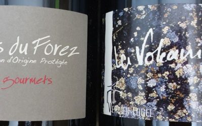 Verdier-Logel – Cotes du Forez, Loire Valley