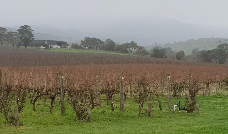 Yarra Valley
