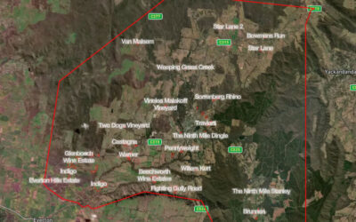 The Beechworth Region – Vinous Anarchy