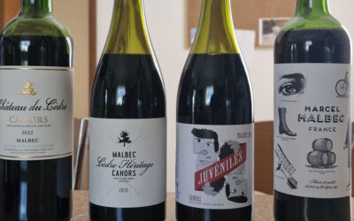Chateau du Cedre – More Than Just Malbec