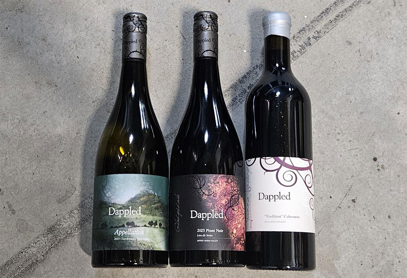 Dappled 2025 New Release