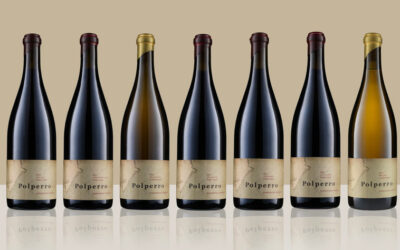 Polperro 2021 Single Vineyard Pinot’s – Mornington’s Finest