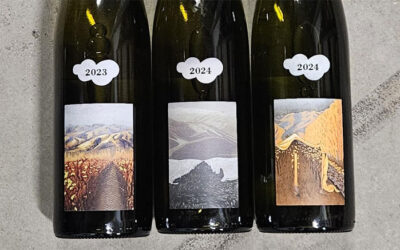 Reed Riesling – a sensory passion