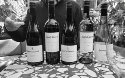 How to taste wine – A Basic Guide