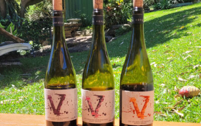 Vanguardist 2022 Spring Releases